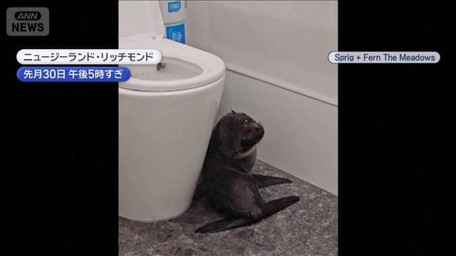 メイン記事画像