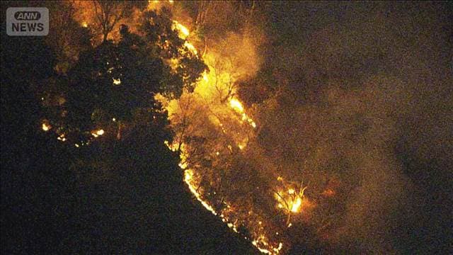 メイン記事画像