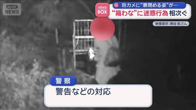 メイン記事画像