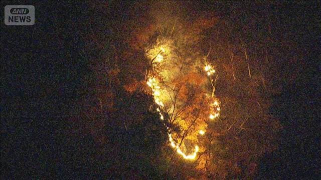 メイン記事画像