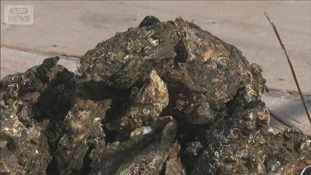 メイン記事画像