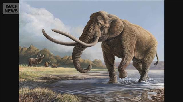 メイン記事画像