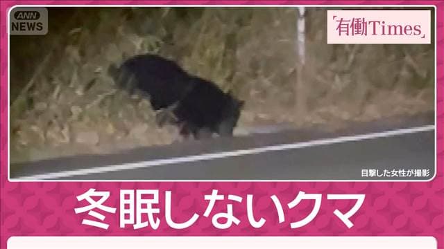 メイン記事画像