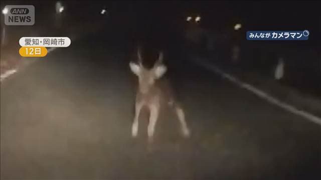 メイン記事画像