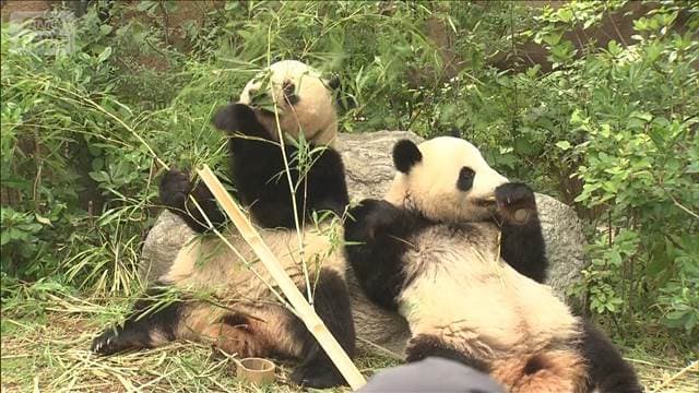 メイン記事画像