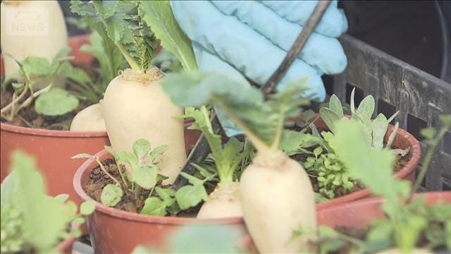 メイン記事画像