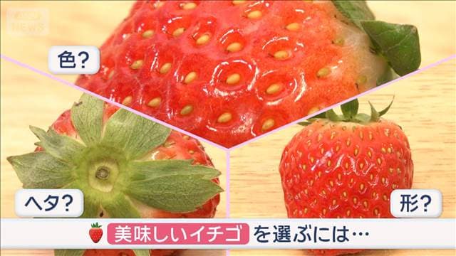 メイン記事画像