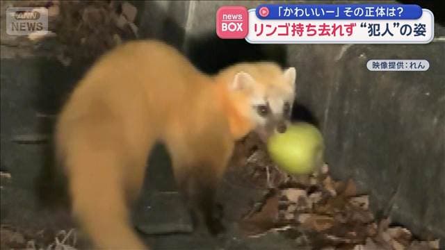 メイン記事画像