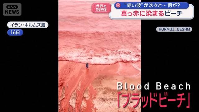 メイン記事画像