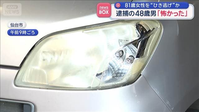 メイン記事画像