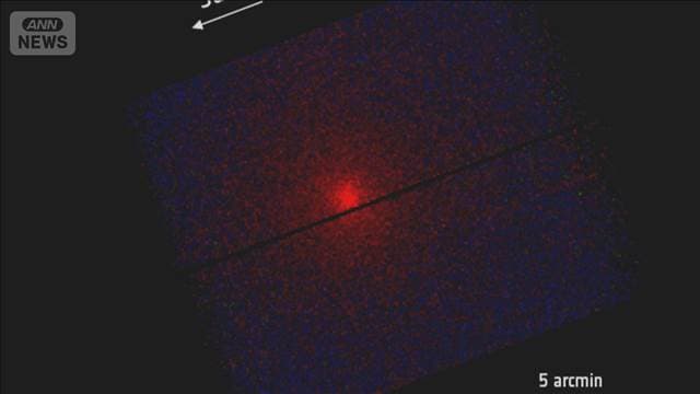 メイン記事画像