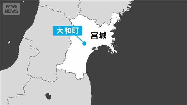 メイン記事画像