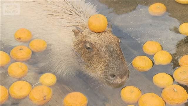 メイン記事画像