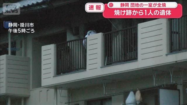 メイン記事画像