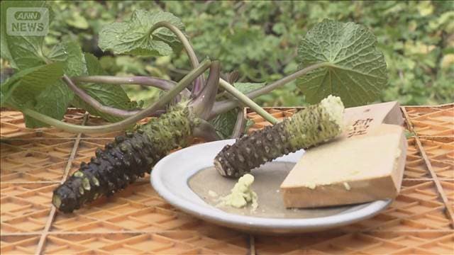 メイン記事画像