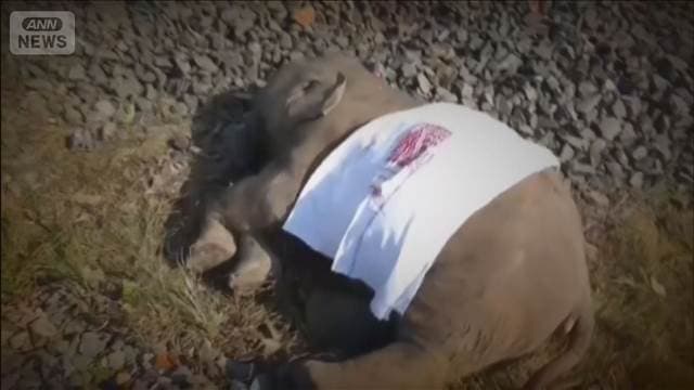 メイン記事画像