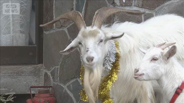 メイン記事画像