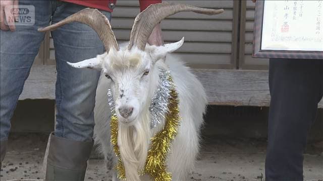 メイン記事画像