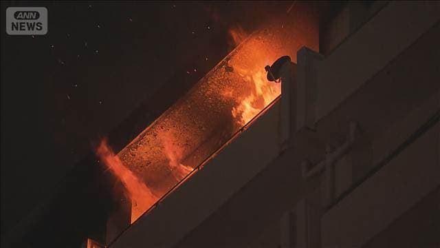 メイン記事画像