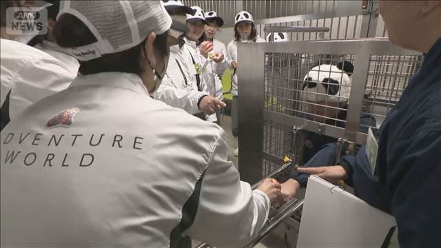 メイン記事画像