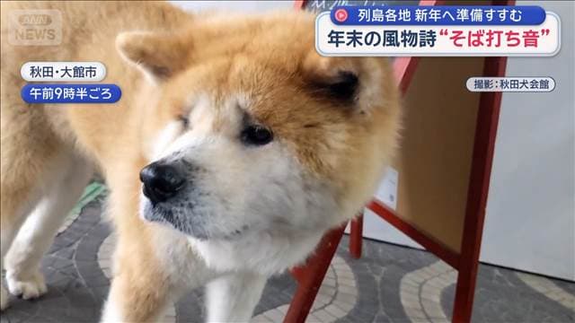 メイン記事画像