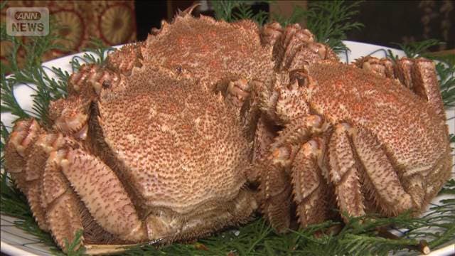 メイン記事画像