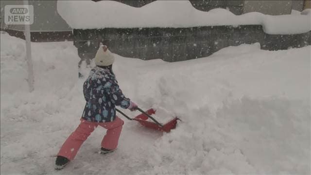 メイン記事画像