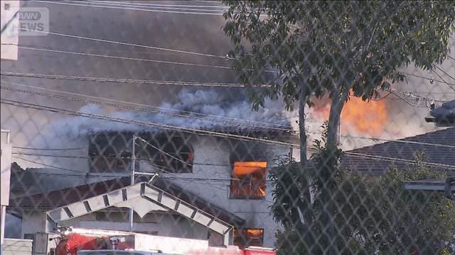 メイン記事画像