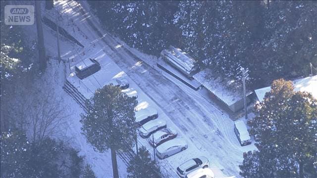 メイン記事画像