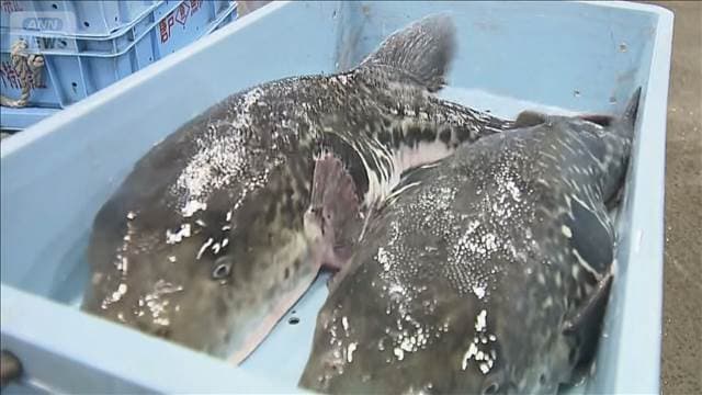 メイン記事画像