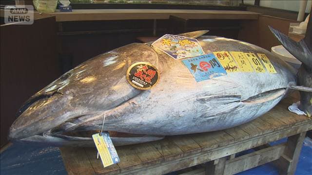 メイン記事画像