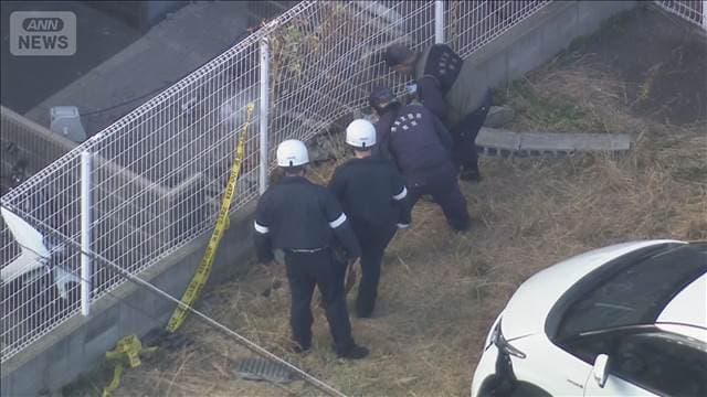 メイン記事画像