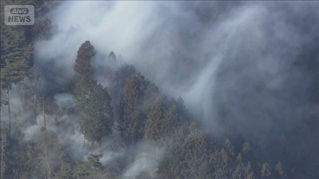 メイン記事画像