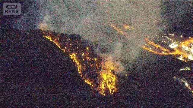 メイン記事画像