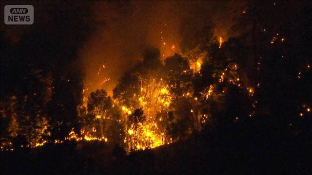 メイン記事画像