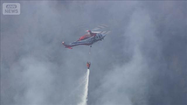 メイン記事画像