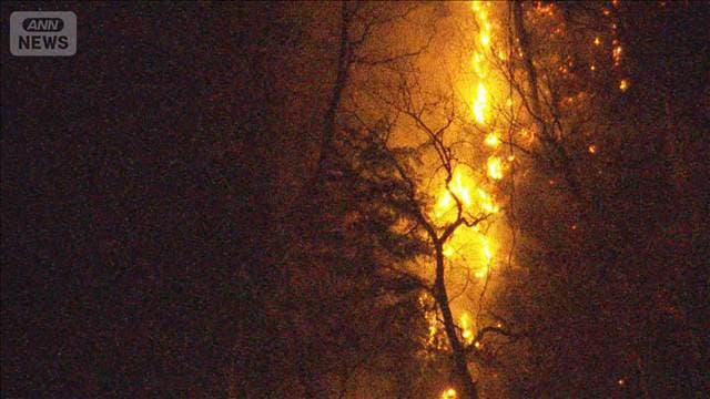 メイン記事画像