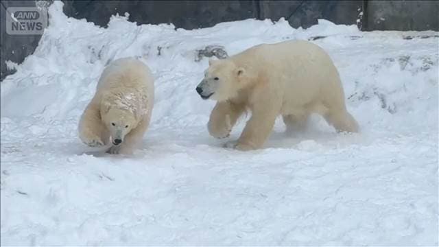 メイン記事画像