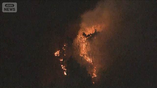 メイン記事画像