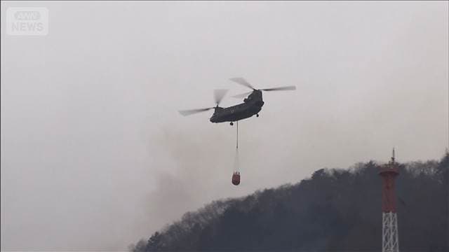 メイン記事画像