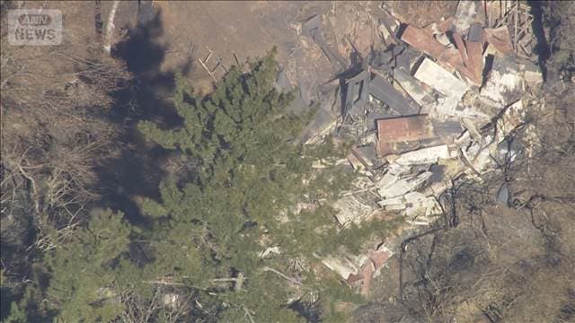 メイン記事画像