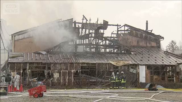 メイン記事画像