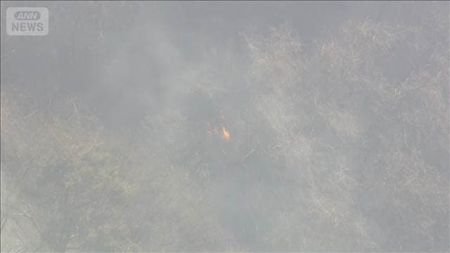 メイン記事画像