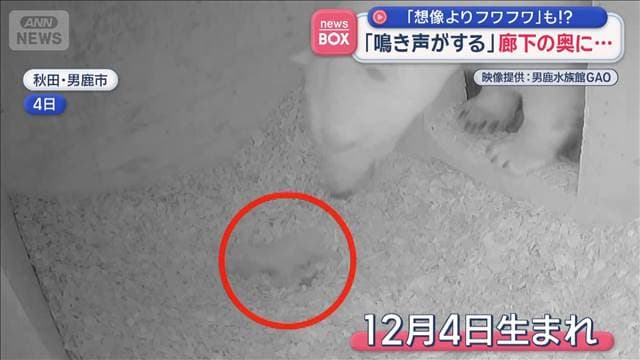 メイン記事画像