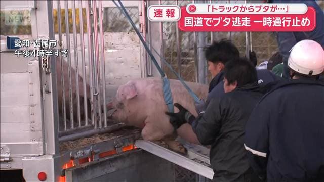 メイン記事画像