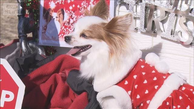 メイン記事画像