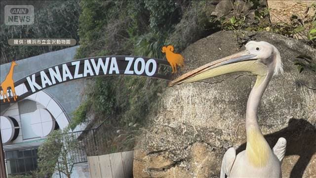 メイン記事画像