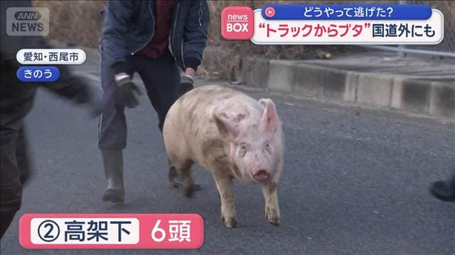 メイン記事画像