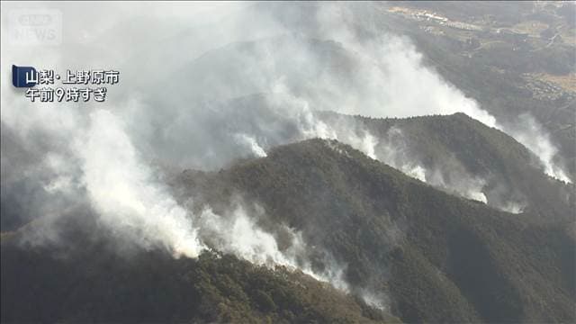 メイン記事画像