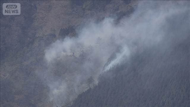 メイン記事画像